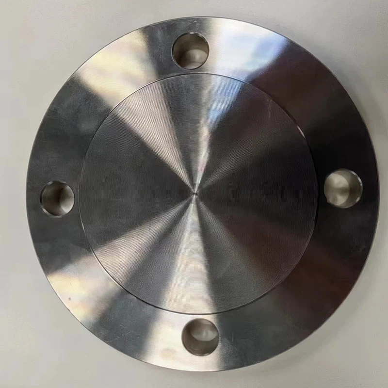 Stainless Steel Blind Flange